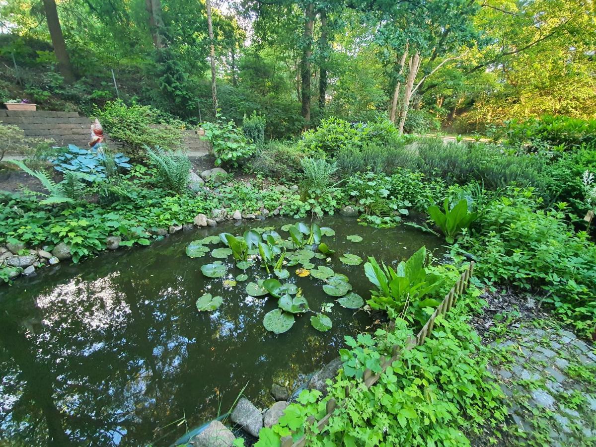 Apartment Bei Hamburg Bis 10 Personen Mit Terasse Und Gartennutzung. บุคโฮลซ์ อิน แด นอร์ดไฮเดอ ภายนอก รูปภาพ